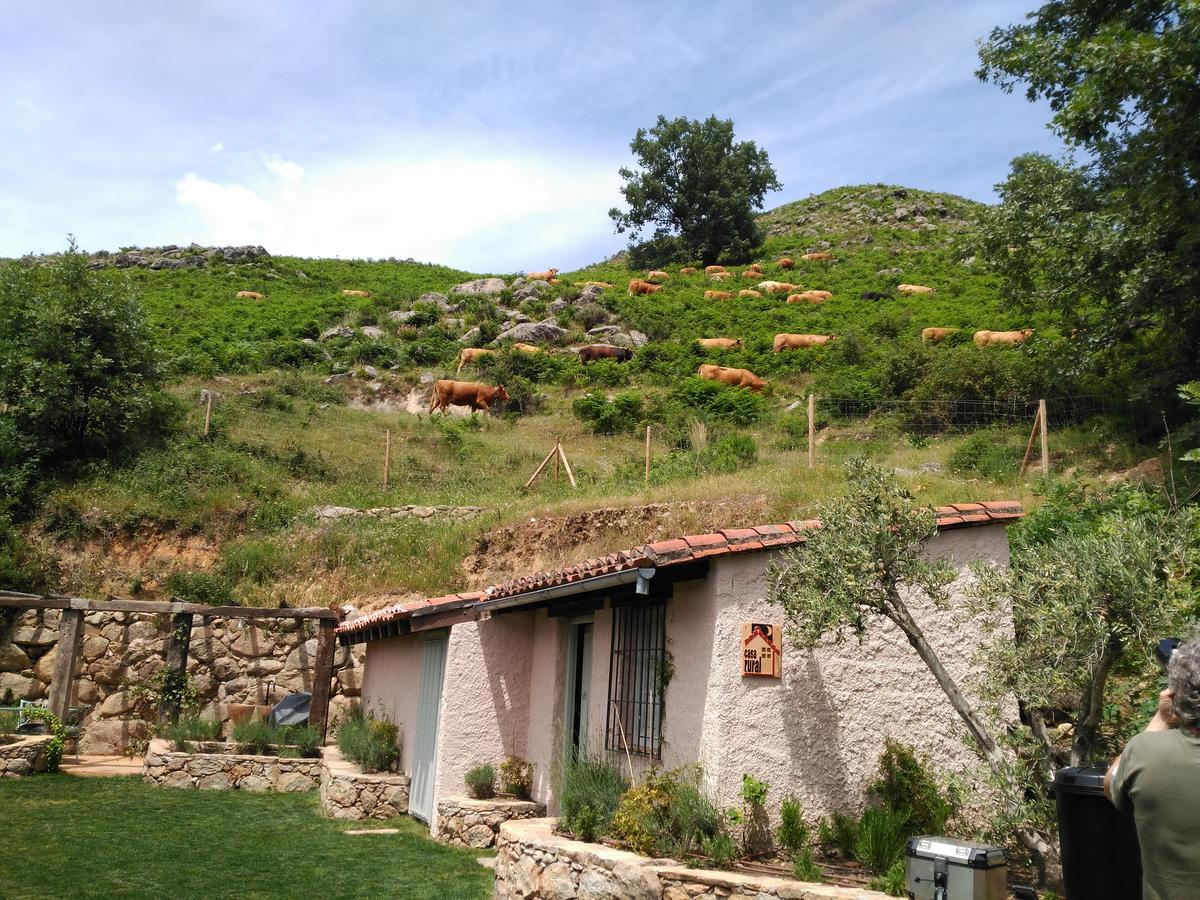 Abejas 1 De El Vergel De Chilla Candeleda Dış mekan fotoğraf