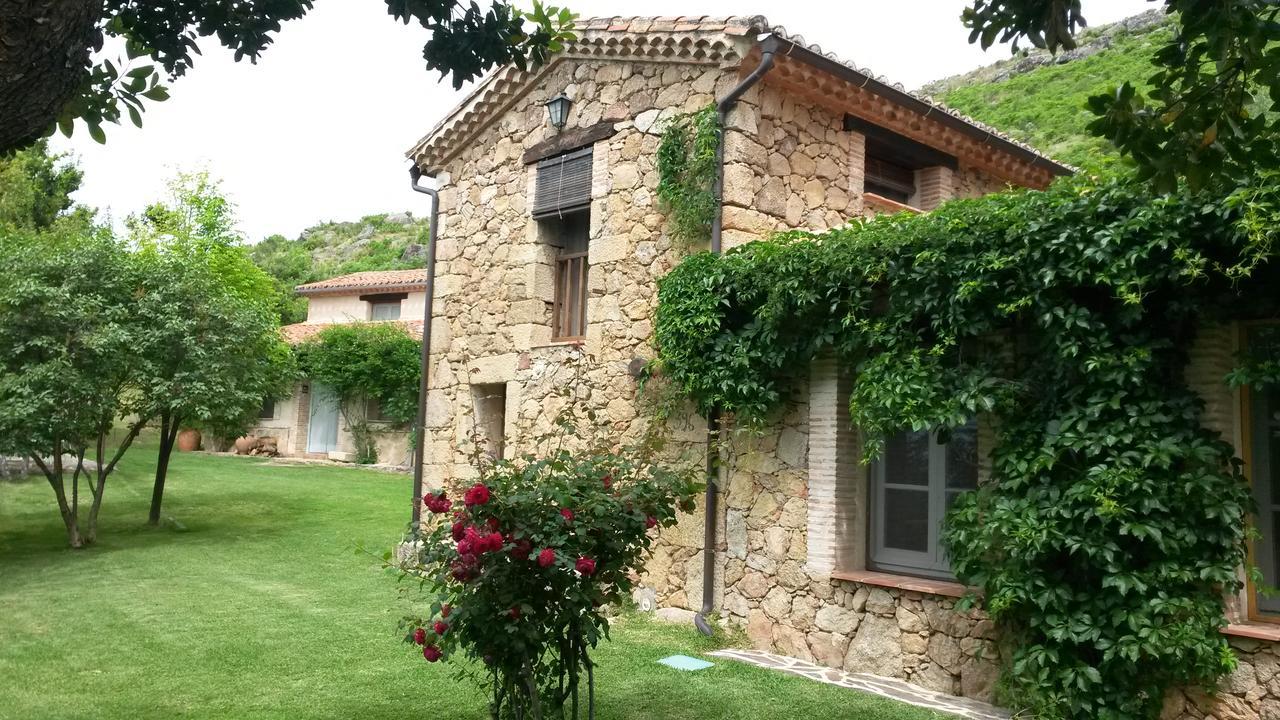 Abejas 1 De El Vergel De Chilla Candeleda Dış mekan fotoğraf